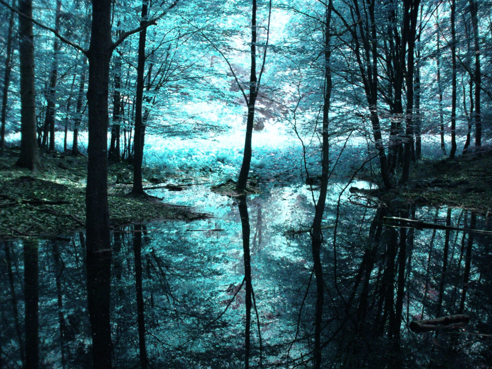 Landscape of the Cerulean Mire, with bright waters, bluish vegetation and an eerie fog